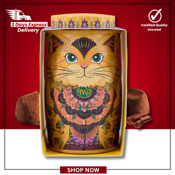 The British Pantry Flutter Scotch Cocoa-Dusted Chocolate Truffles Kit Tin (36g)